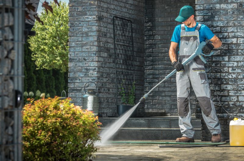 Brick Walkway Cleaning