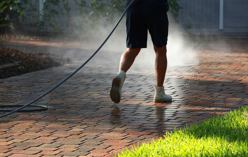 Brick Walkway Cleaning detail