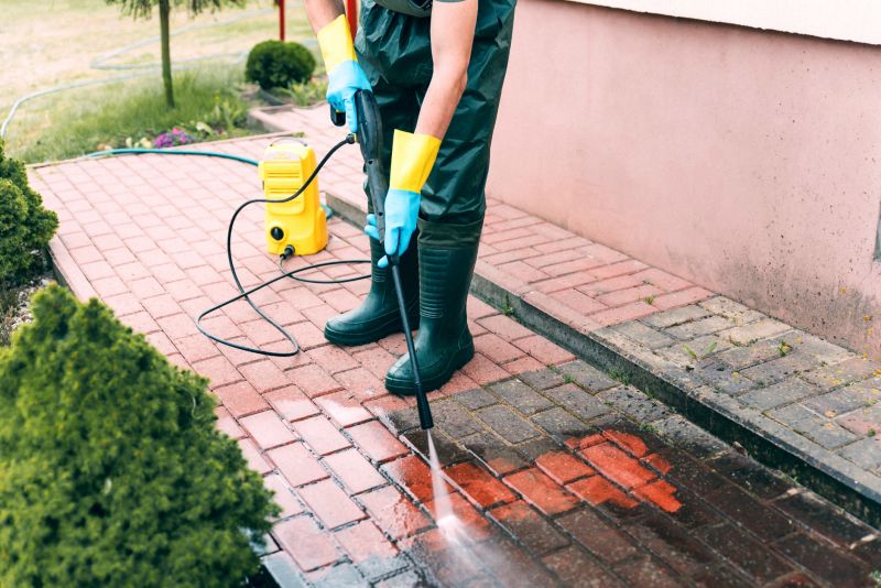Brick Walkway Cleaning detail