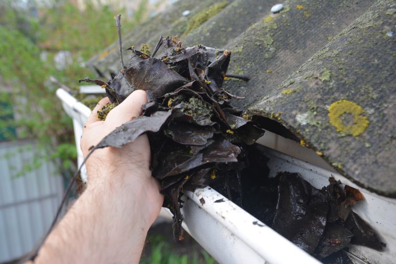 Gutter Leaves Removal in Richmond, VA